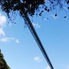 竜神大吊橋