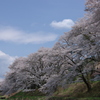 どこまでも
