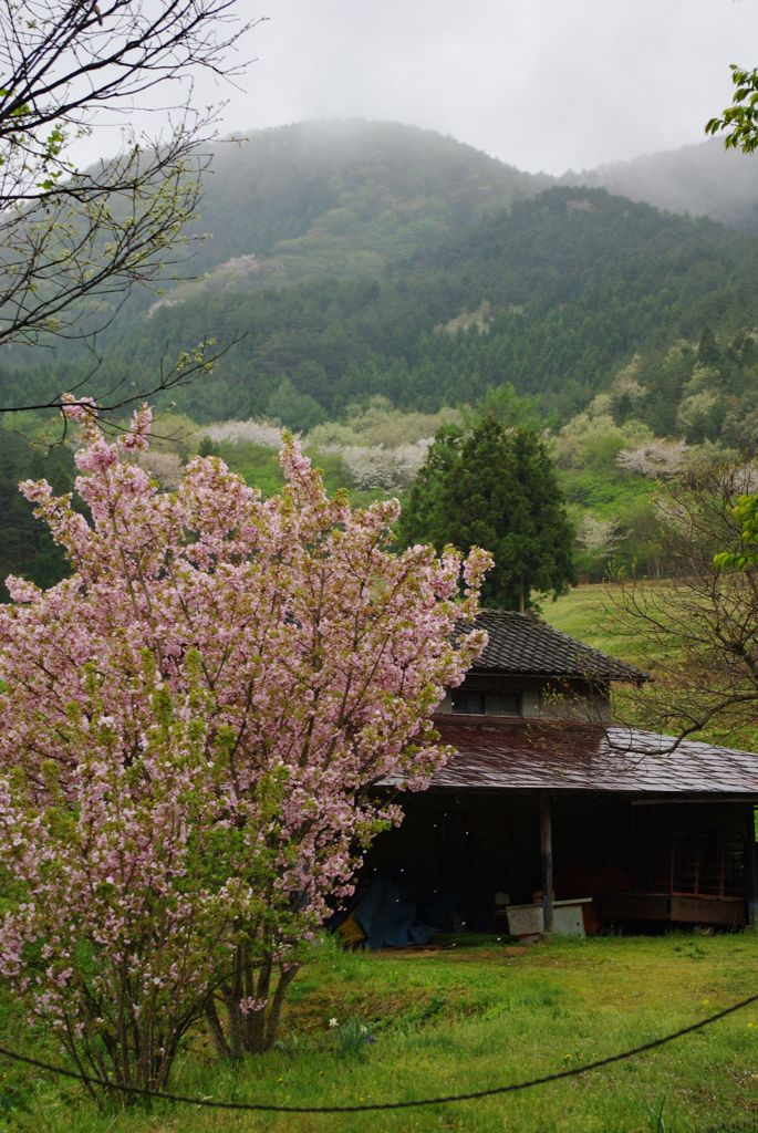 里山