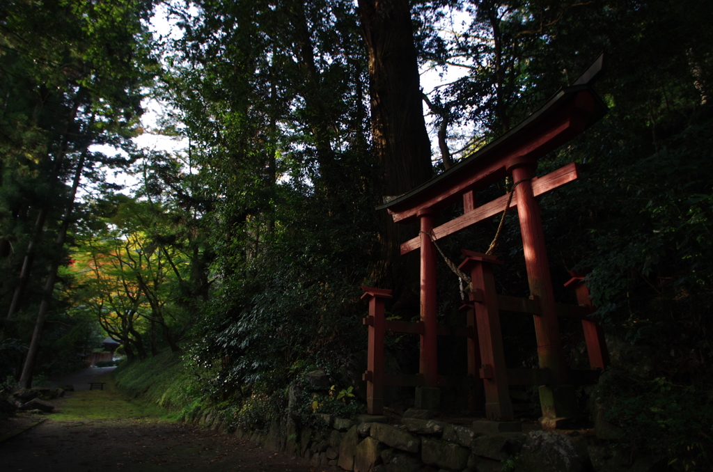 鳥居に迎えられ