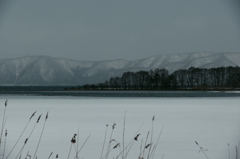 情景