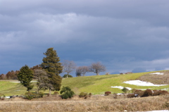 緑の丘は春を感じる
