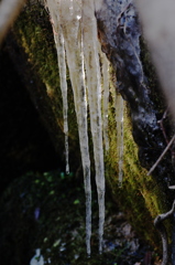 小川の美術館　2