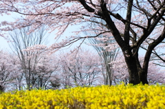 童里夢