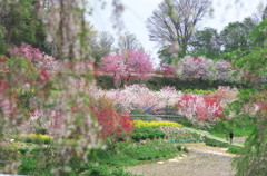 花園