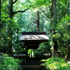 大雄寺　山門　再