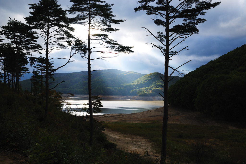 どうして今なんだ