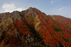 山登ったよ♪