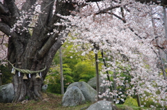 風格