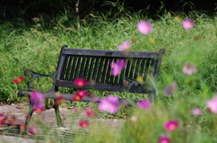 花柄ベンチ
