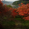 線路と遊歩道