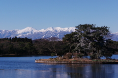 白い山、白い松