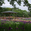 池の周りも