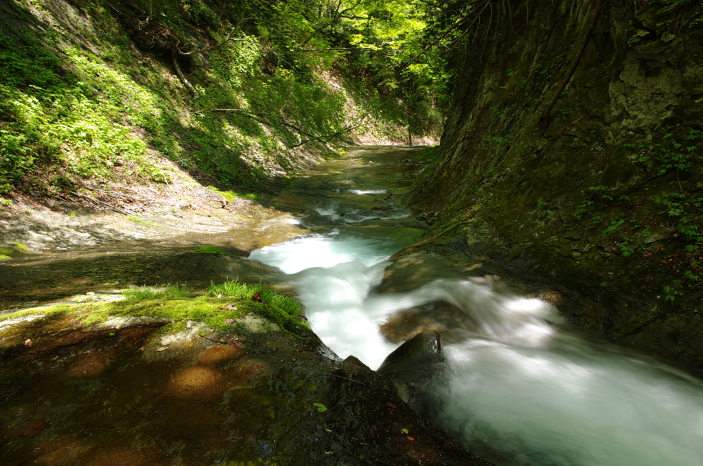流れていこうか