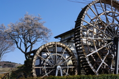 水車小屋と梅の木