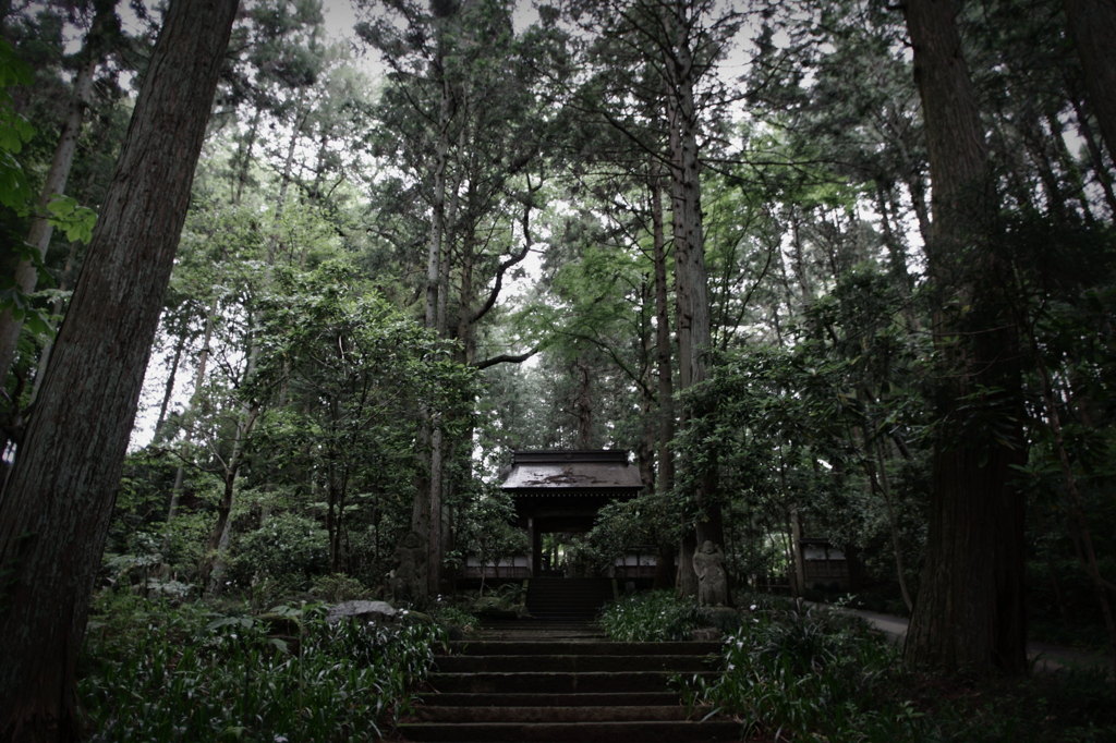 大雄寺　山門