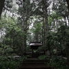 大雄寺　山門