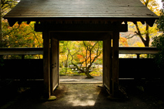 秋の門