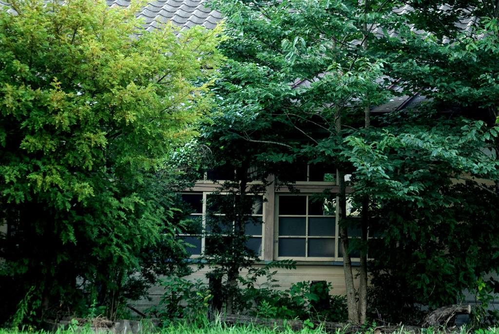 遠い昔
