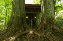 並び立つ