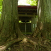 並び立つ