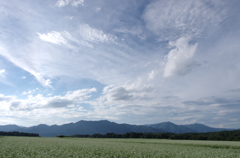 気がつけば秋