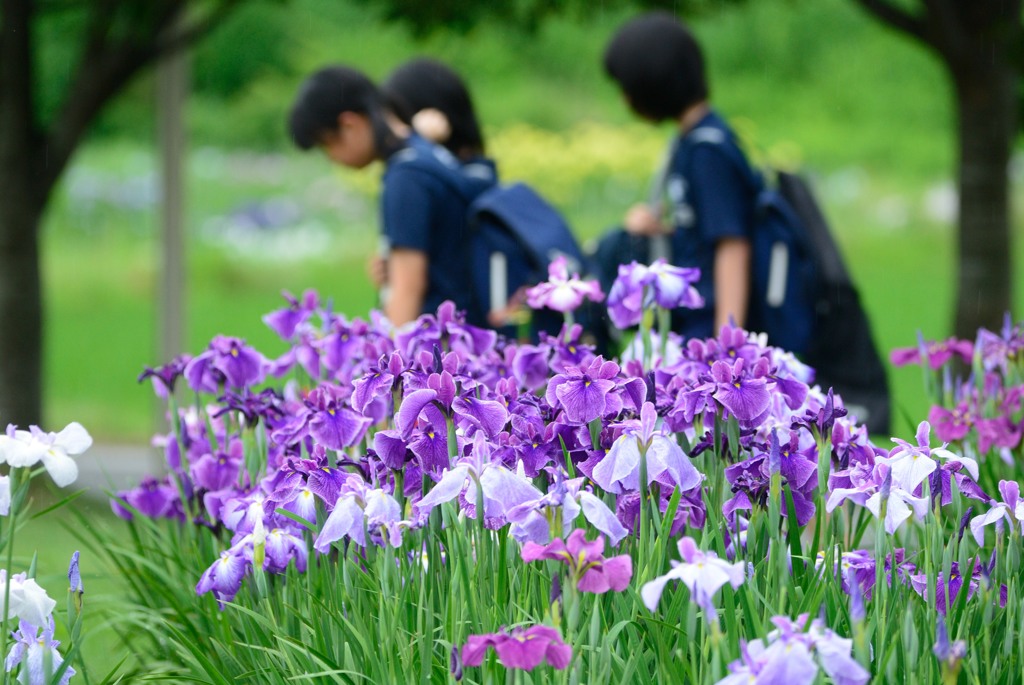 通学路