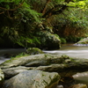 日本庭園かな