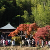 油断すると
