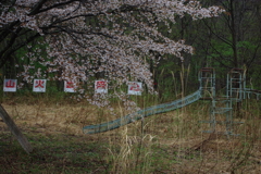 忘れられた公園