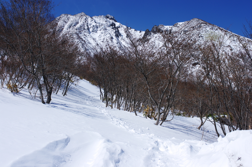 私の装備では・・・ここまで
