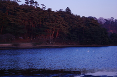 迫る夕闇
