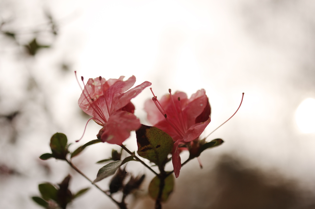 出番を間違えて