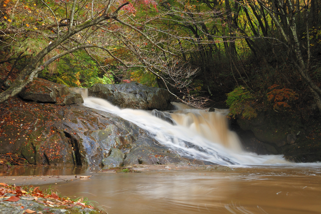 青葉の滝だが・・・