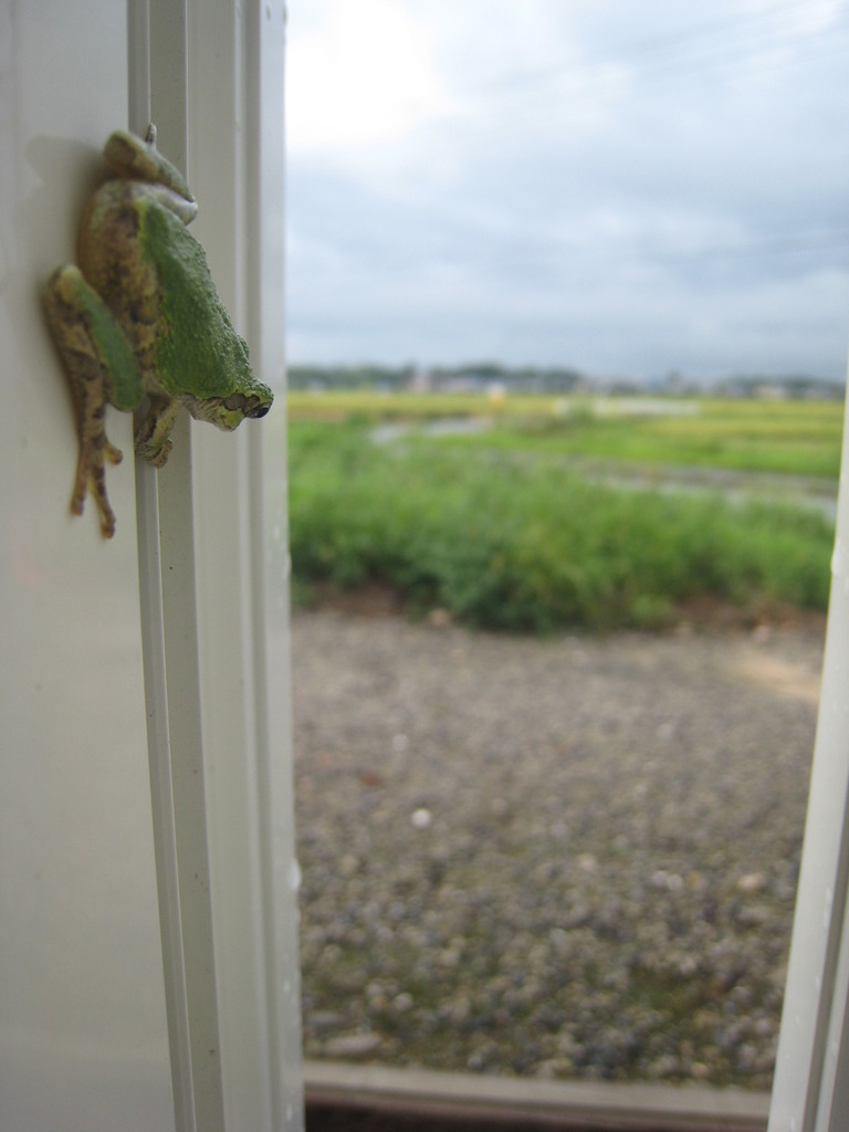 今日は何をしようか。