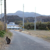久々のnora