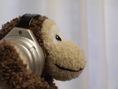 音楽好き？