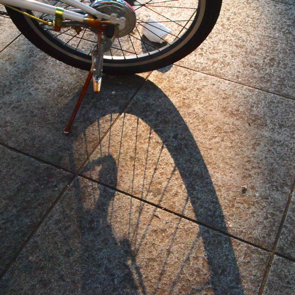 20090823青葉公園6