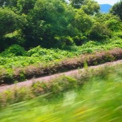 20090823大井川3