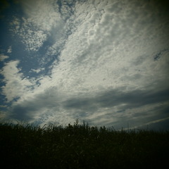 20090823空8