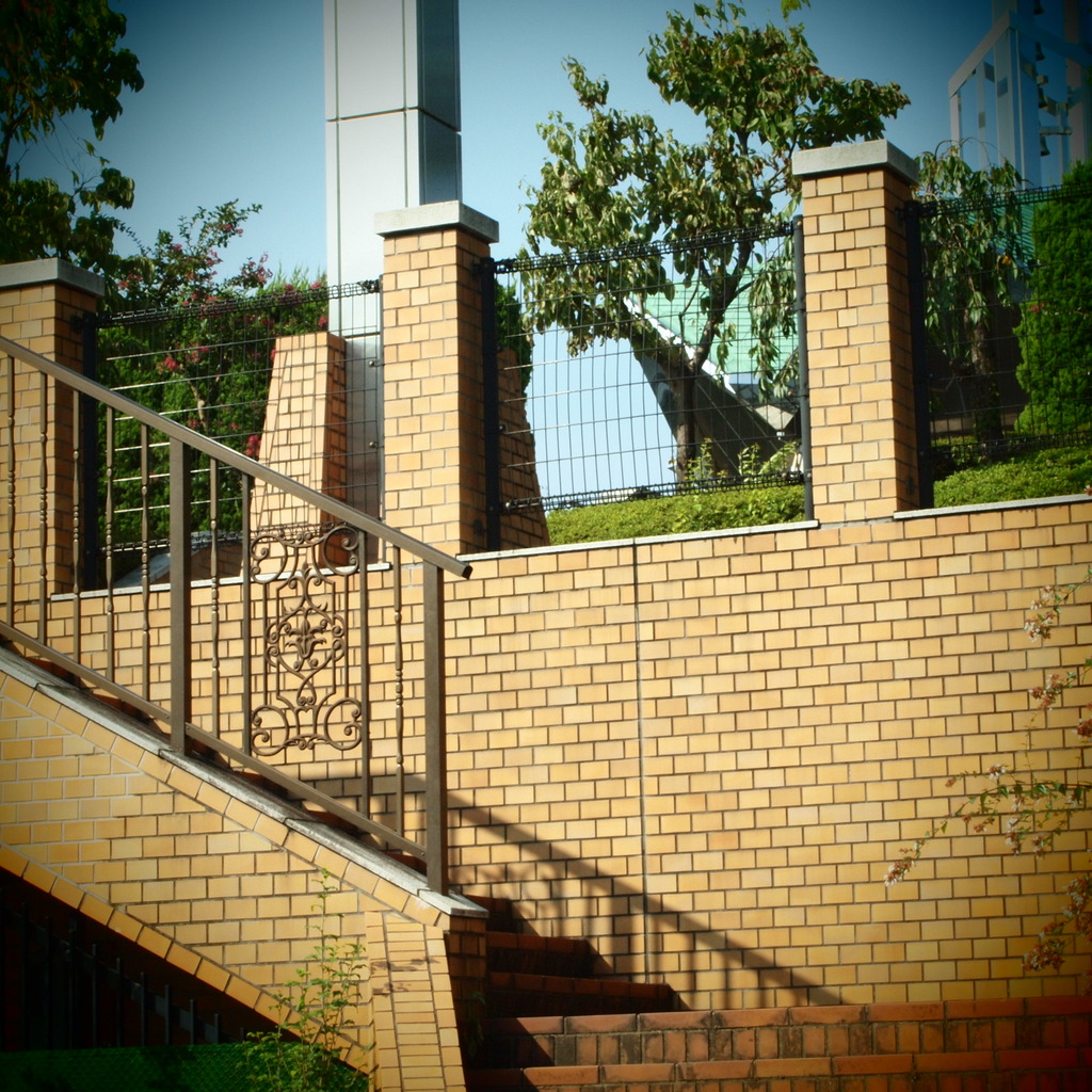 20090823常盤公園2