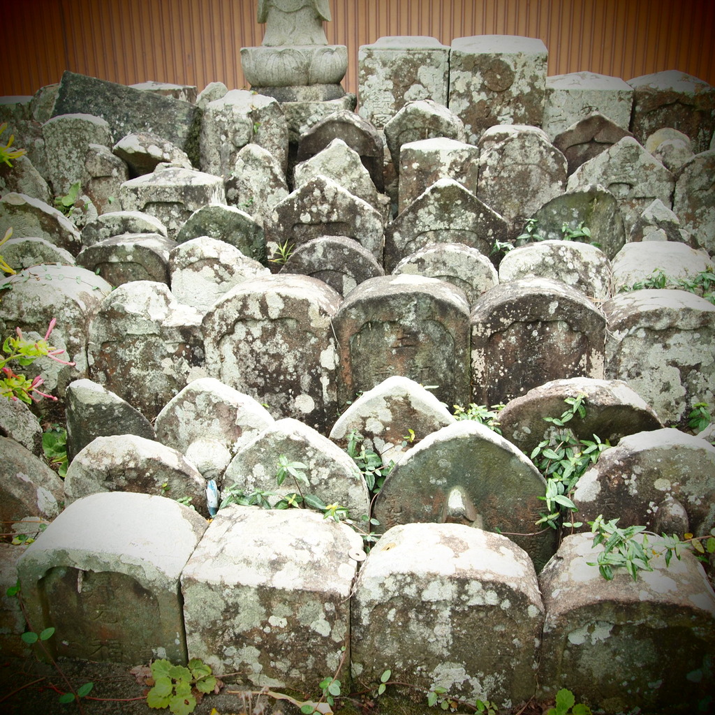 20090823墓参り