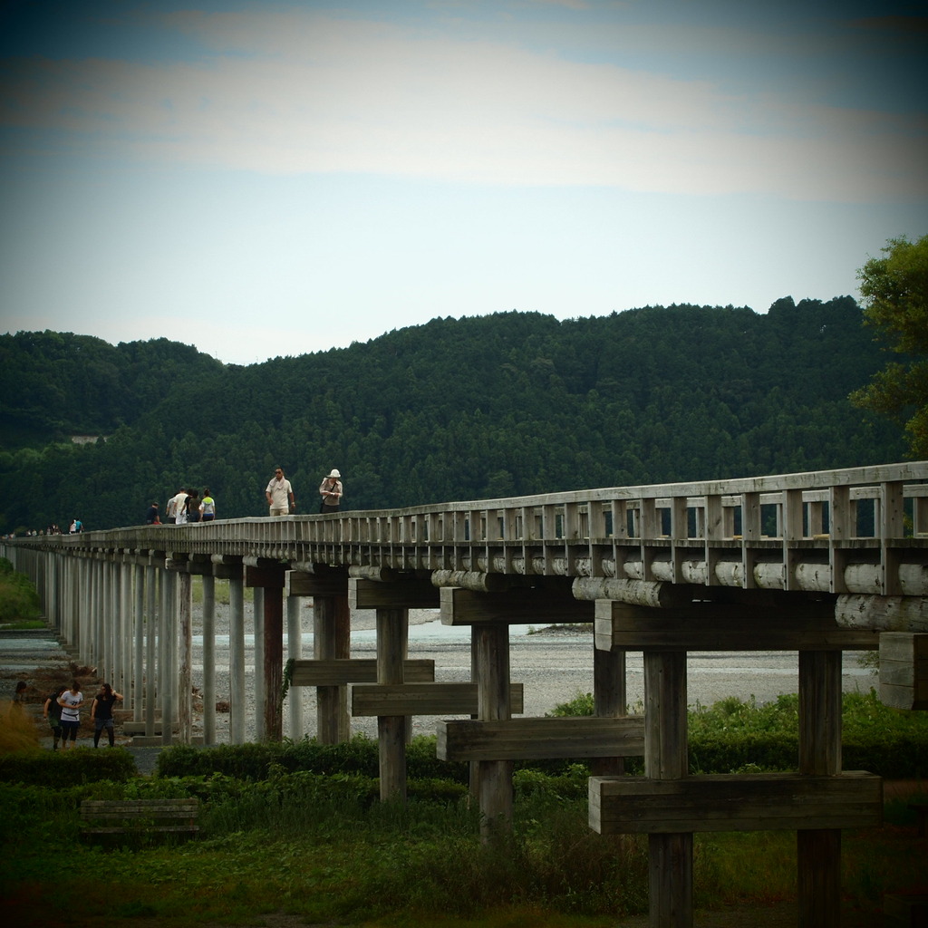 20090823蓬莱橋2