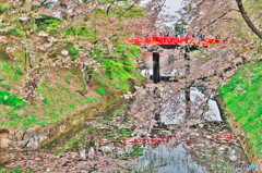 弘前城桜絵巻其の二