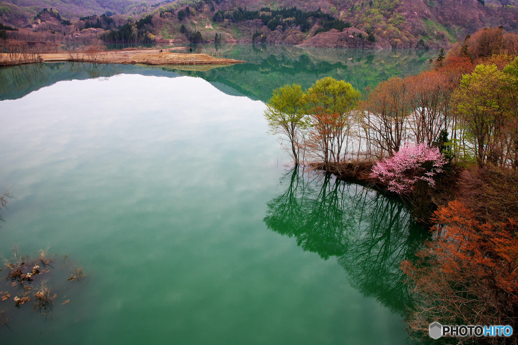 碧の水面鏡