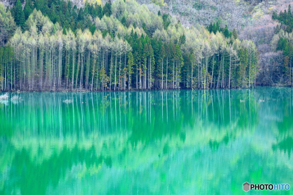 美山湖