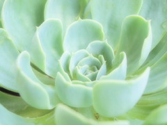 ベランダの輝き