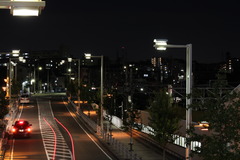 有松の夜