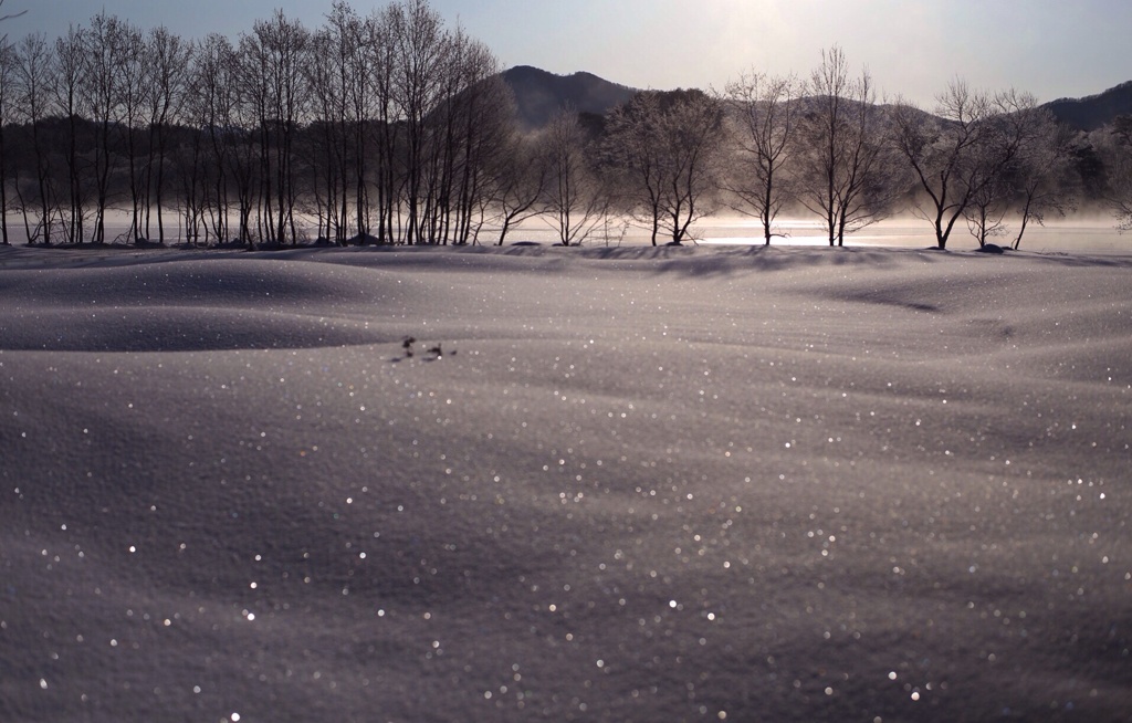 雪原は銀河の瞬き