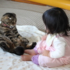 にぃらめっこしましょ～♪